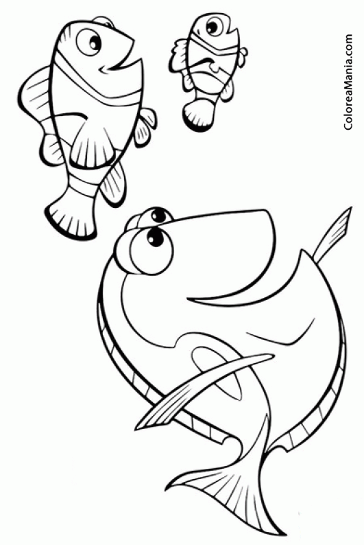 Colorear Marlin, Dory y Nemo
