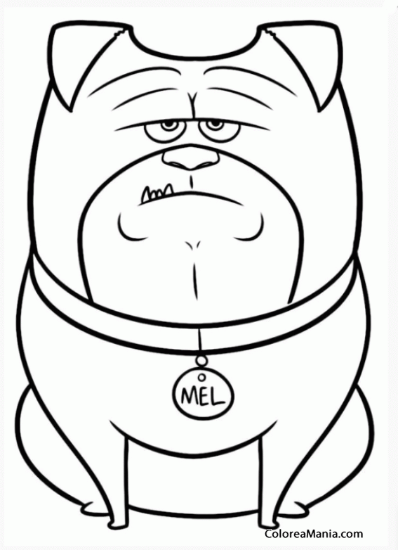 Colorear Mel. el bulldog ingls