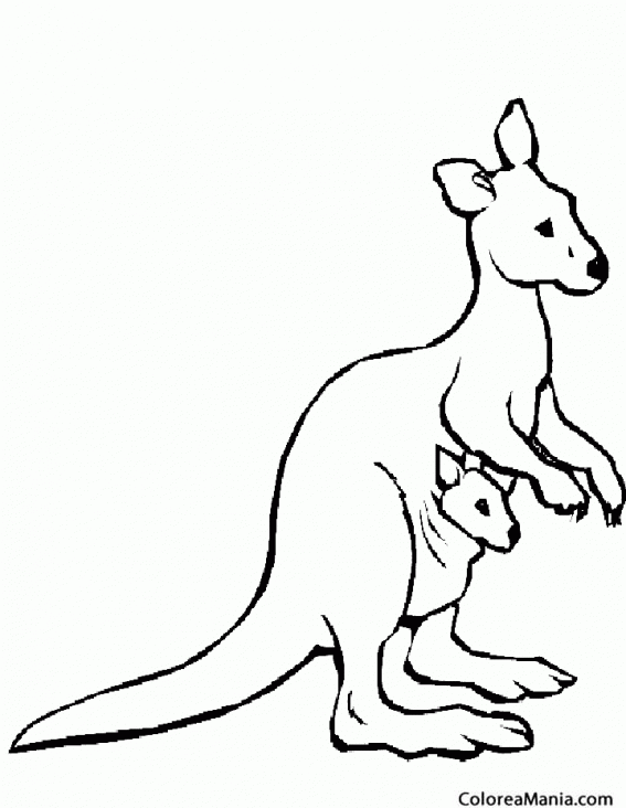 Colorear Canguro con su beb