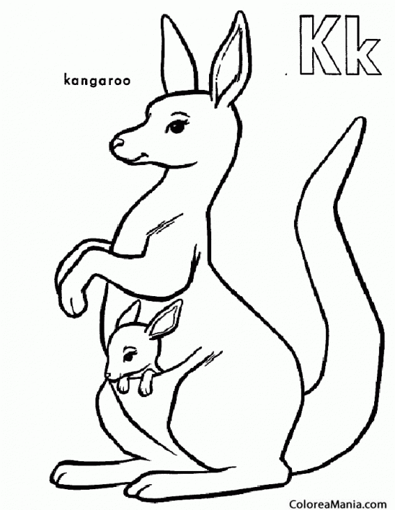 Colorear K de Kangaroo. Canguro