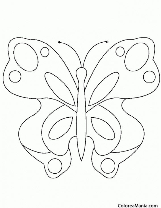 Colorear Mariposa plantilla