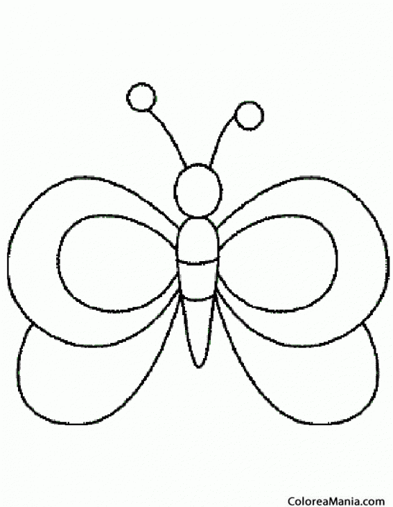 Colorear Mariposa, silueta