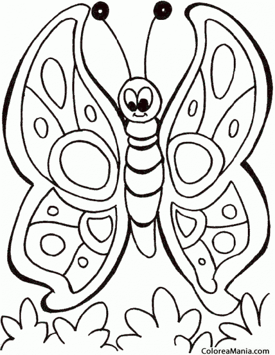 Colorear Mariposa, dibujo infantil