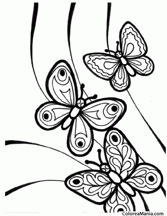 Colorear 3 Mariposas