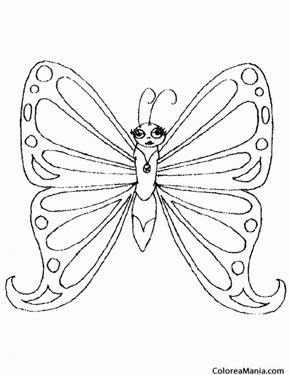 Colorear Mariposa presumida