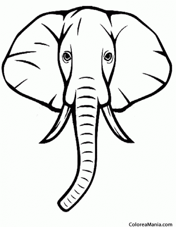 Colorear Cabeza de Elefante de frente