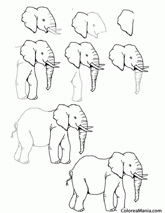Colorear Como dibujar Elefante
