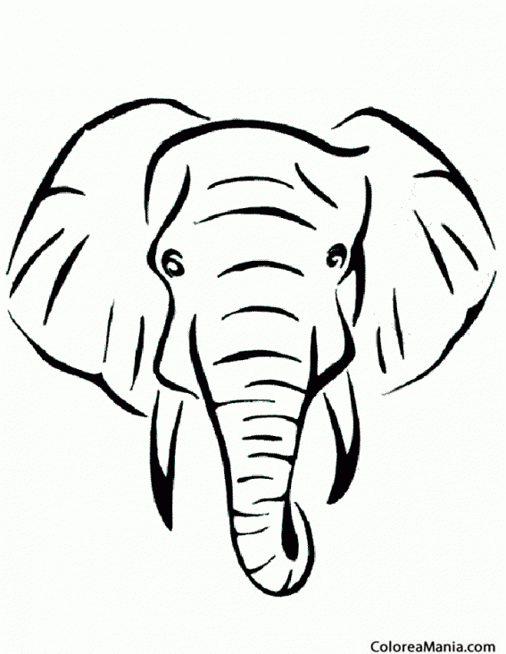 Colorear Cabeza de Elefante, vista frontal