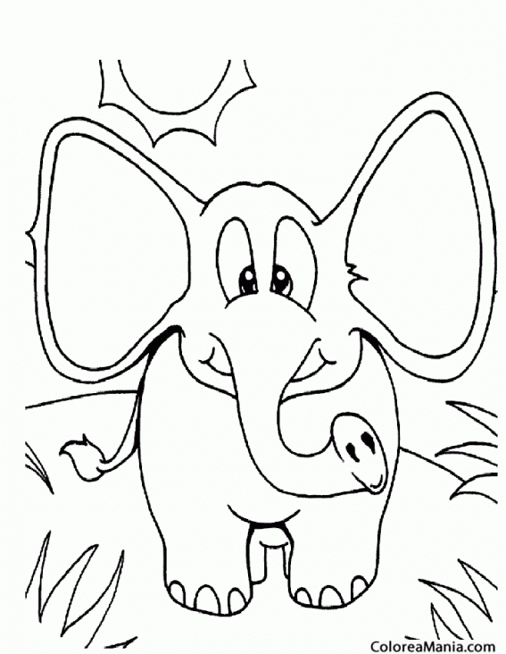 Colorear Elefante de orejas grandes