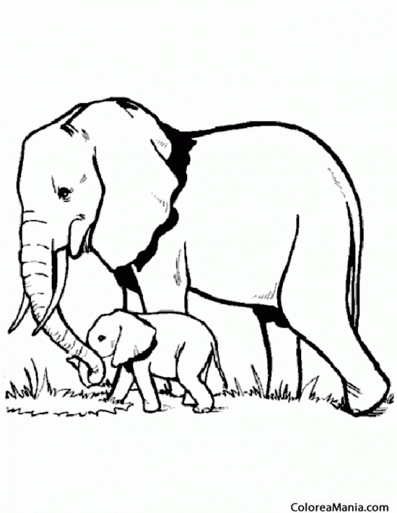 Colorear Mam Elefante y su hijo