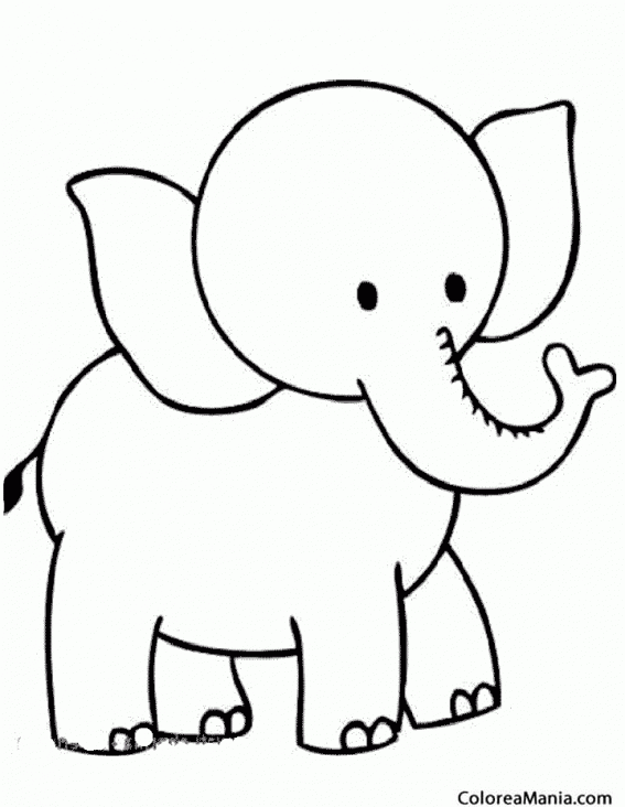 Colorear Elefante de cabeza pequea