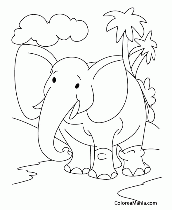 Colorear Elefante entre palmeras