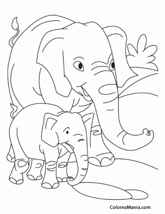 Colorear Elefante adulto y cra