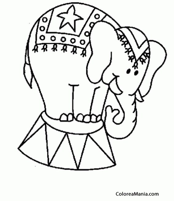 Colorear Elefante de circo en la tarima