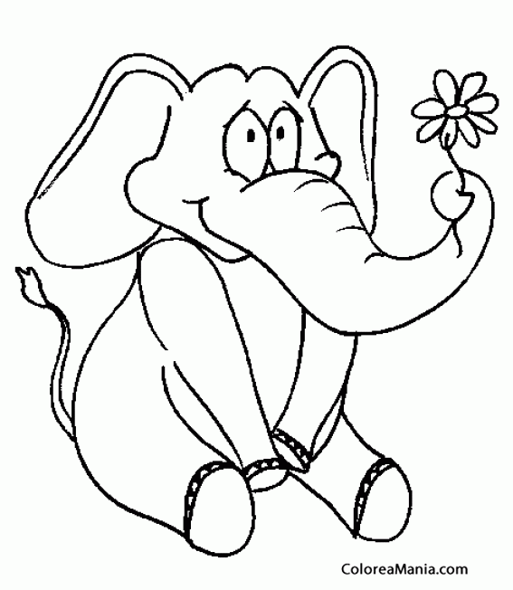 Colorear Elefante sujetando margarita