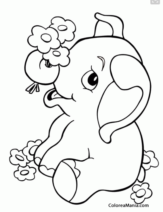 Colorear Beb Elefante con flores