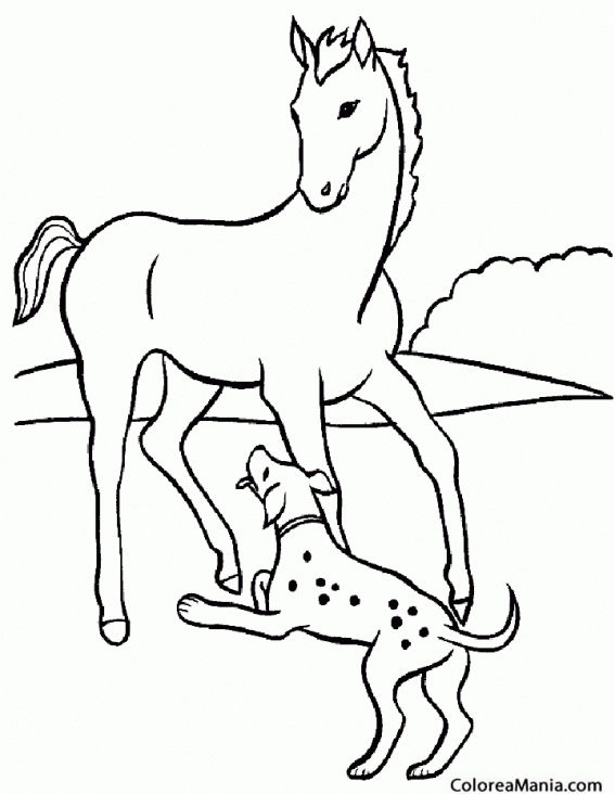 Colorear Perro y caballo