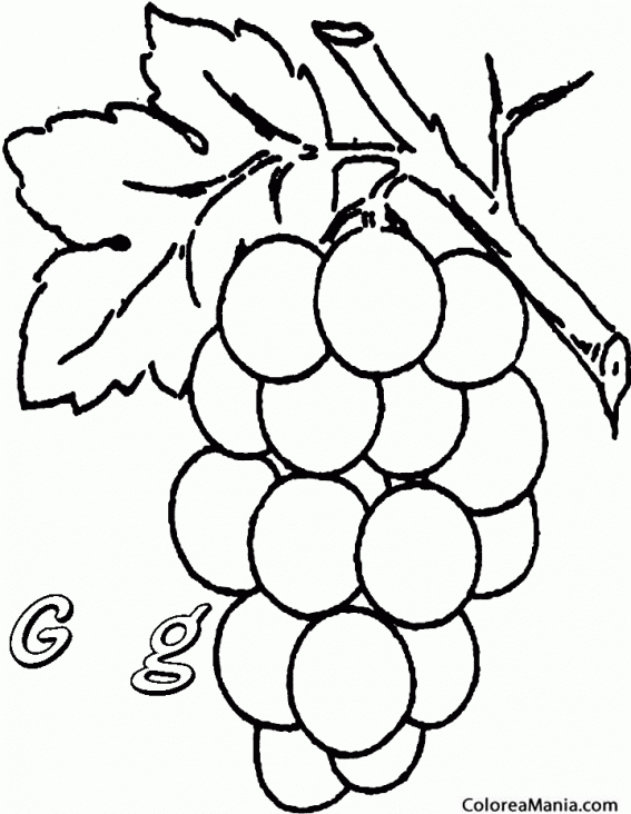 Colorear Uvas. Grapes