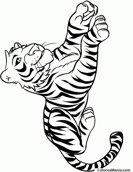 Colorear Tigre sonriendo