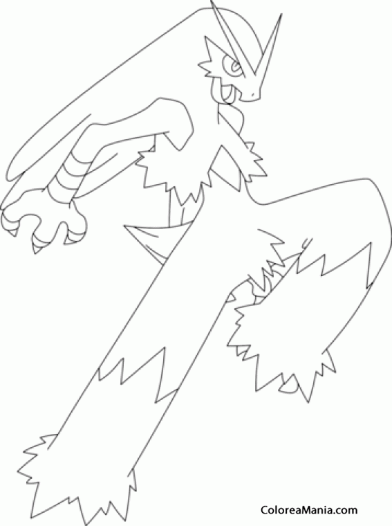 mega blaziken ex coloring pages - photo #22