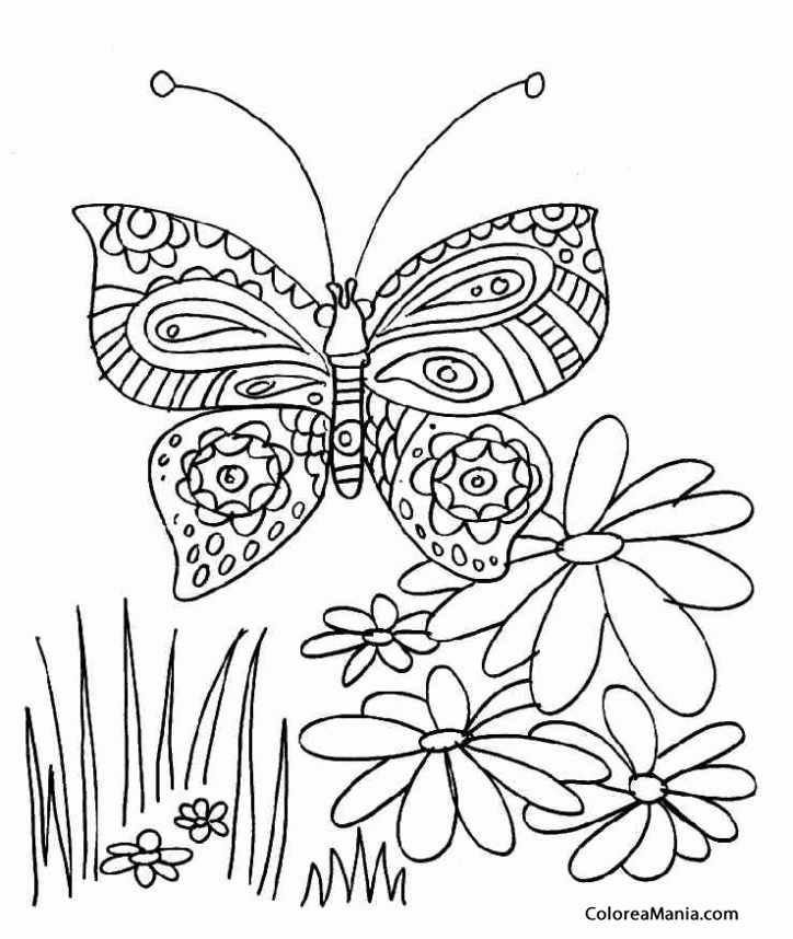 Colorear Mariposa y flores