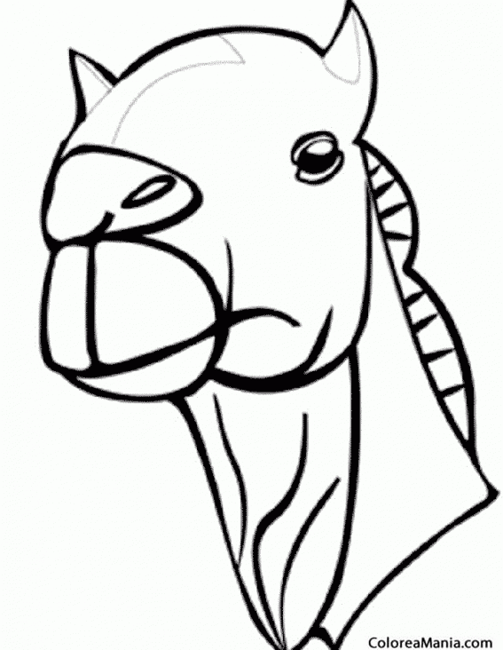 Colorear cabeza de Camello