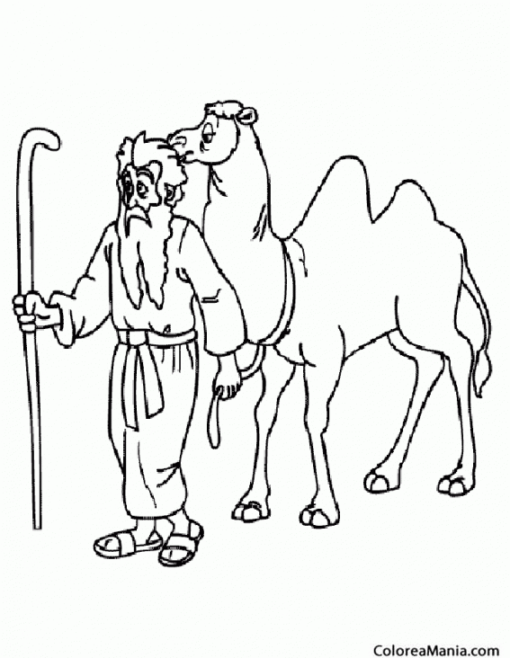 Colorear Camello y su pastor
