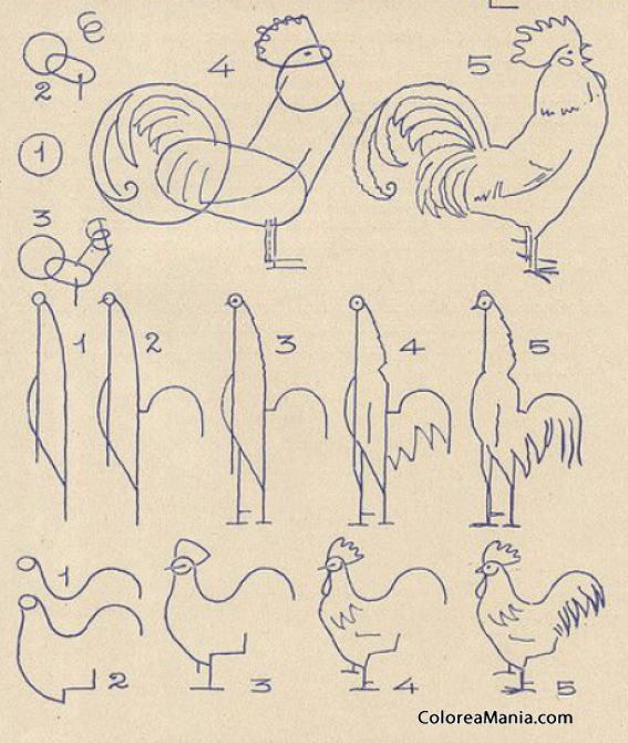 Colorear Como dibujar Gallos