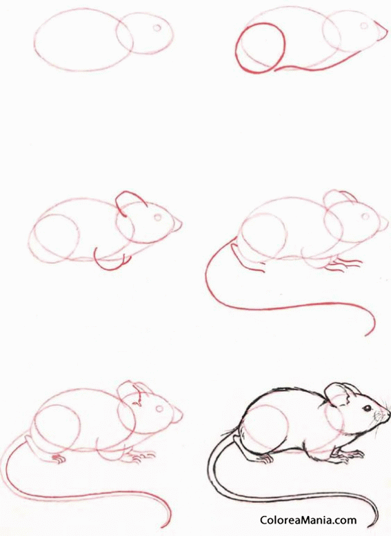 Colorear Dibujar un ratoncito