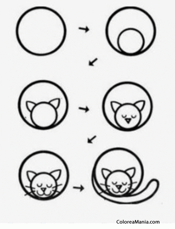 Colorear Dibujar un gato con un crculo