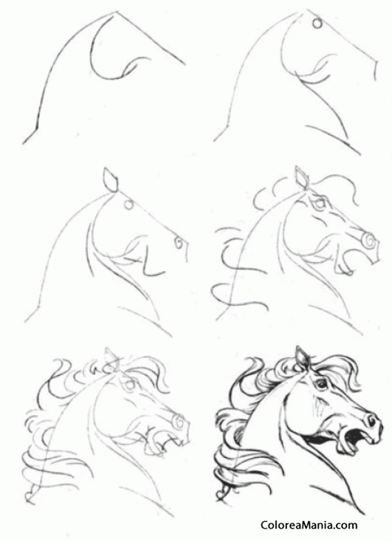 Colorear Dibujar cabeza caballo furioso