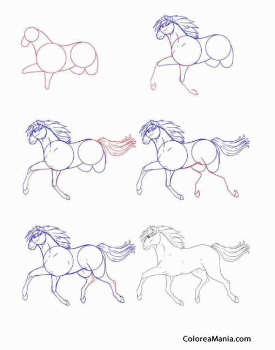 Colorear Dibujar caballo al trote