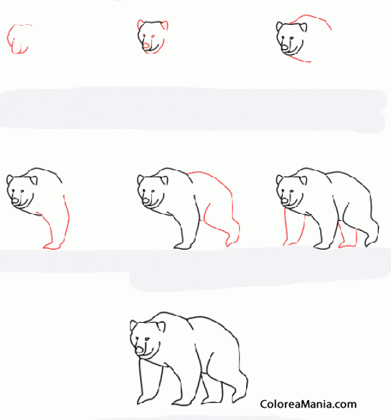 Colorear Dibujar un oso pardo