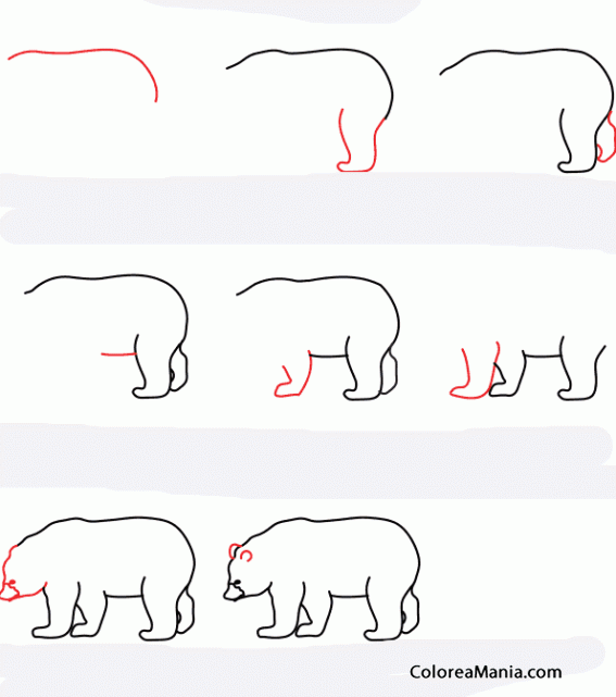 Colorear Como dibujar un oso negro
