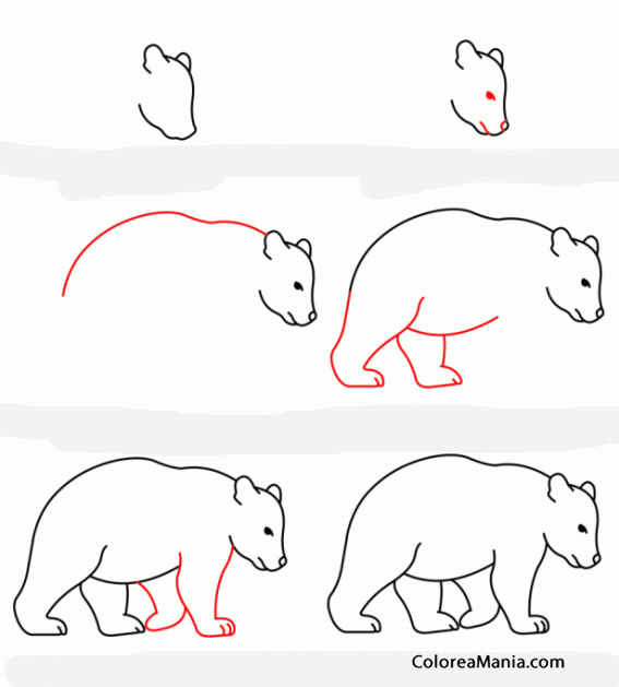 Colorear Como dibujar un oso gris