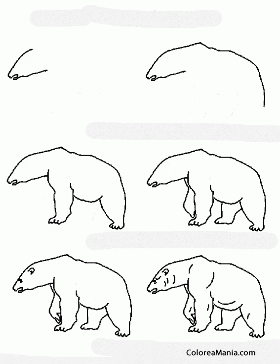 Colorear comment dessiner un ours polar