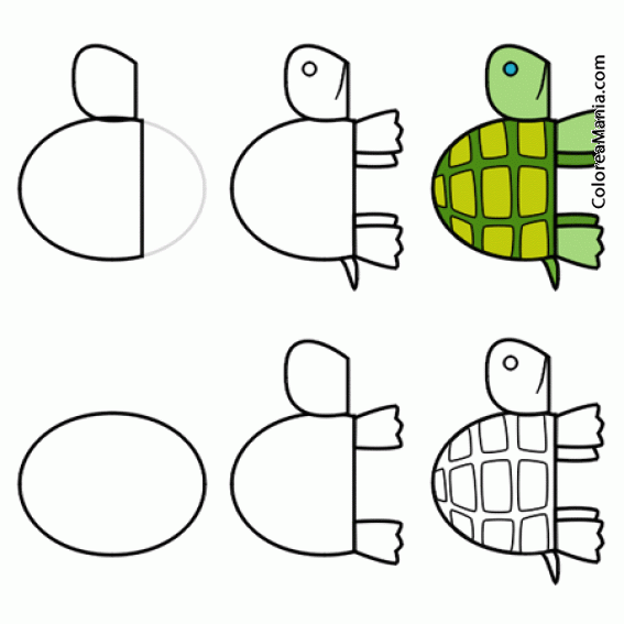 Colorear Dibujar tortuga de tierra 2