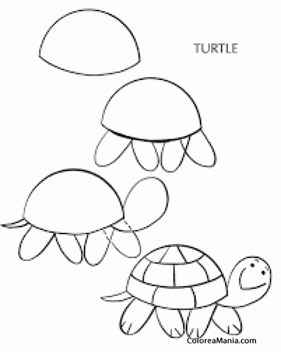 Colorear How to draw a turtle