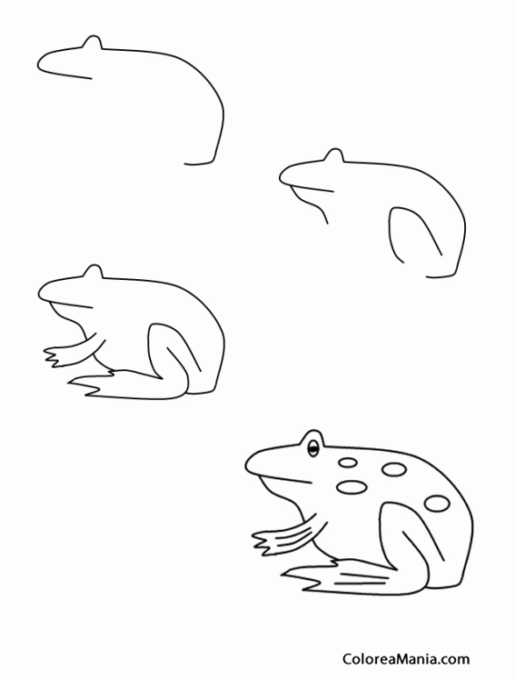 Colorear Dibujando una rana