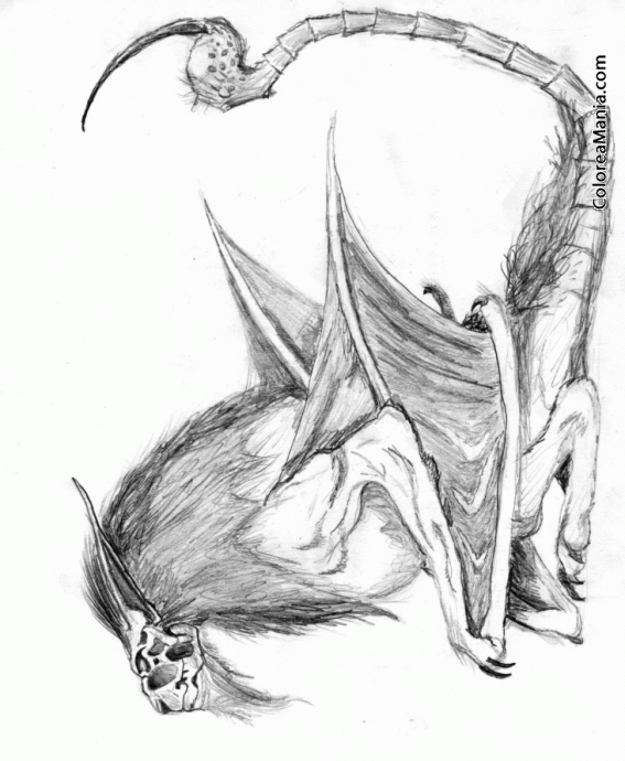 Colorear Mantcora.  Cabeza humana, el cuerpo rojo, y la cola de un dragn o escorpin 7