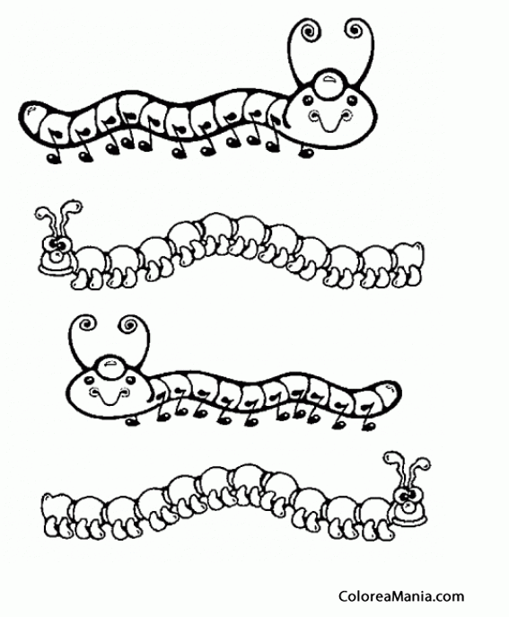 Colorear Cuatro Gusanos