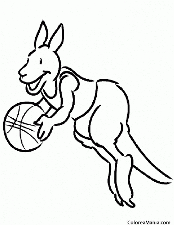 Colorear Canguro jugando a basket
