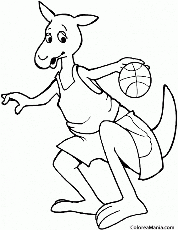 Colorear Canguro jugador de baloncesto