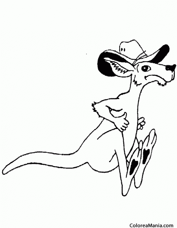 Colorear Canguro con sombrero