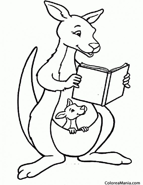 Colorear Canguro leyendo un libro