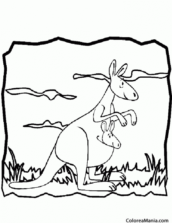 Colorear Canguro en la pradera (Animales de la Sabana), dibujo para  colorear gratis