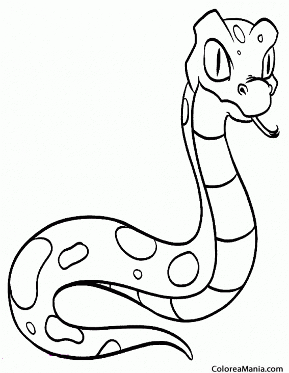 Colorear Serpiente Pitn