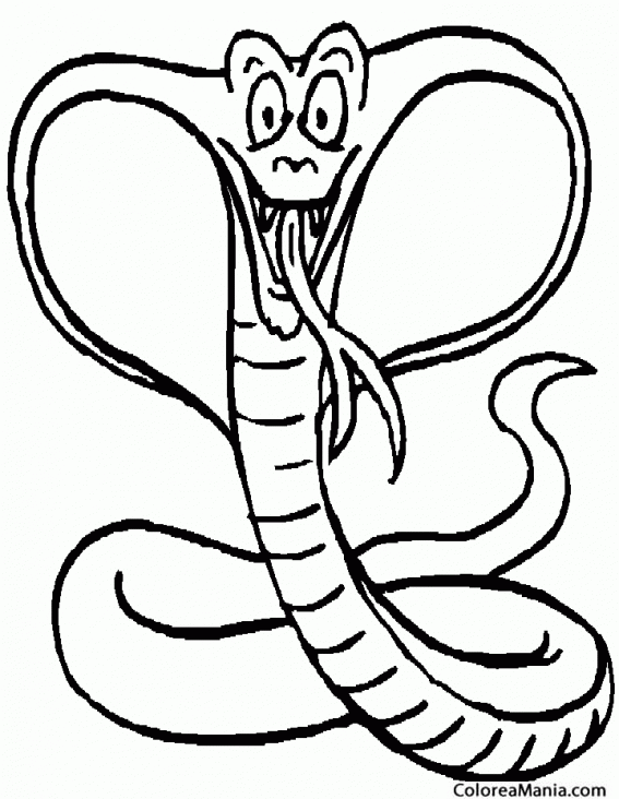 Colorear Serpiente Cobra Rey