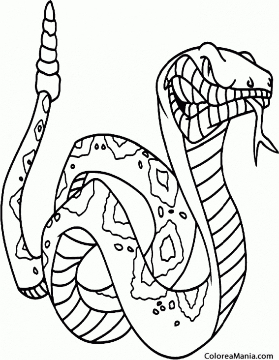 Colorear Serpiente Cascabel enfadada