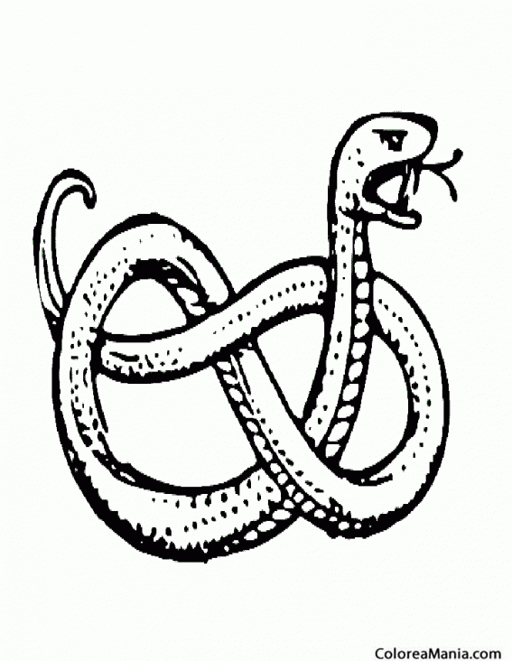 Colorear Serpiente hecha un nudo